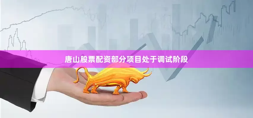 唐山股票配资部分项目处于调试阶段