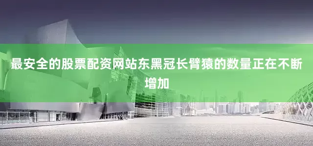 最安全的股票配资网站东黑冠长臂猿的数量正在不断增加